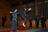 Hapkido Vorf&uuml;hrung 2006