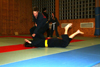 Hapkido Vorf&uuml;hrung 2006