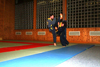 Hapkido Vorf&uuml;hrung 2006