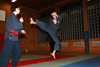 Hapkido Vorf&uuml;hrung 2006