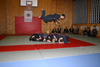 Hapkido Vorf&uuml;hrung 2006