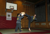 Hapkido Vorf&uuml;hrung 2006