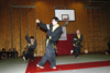 Hapkido Vorf&uuml;hrung 2006